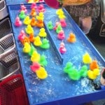 pêche aux canards