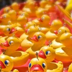 peche aux canards