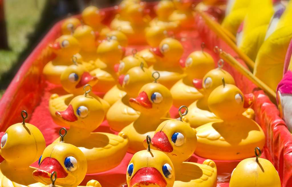 peche aux canards